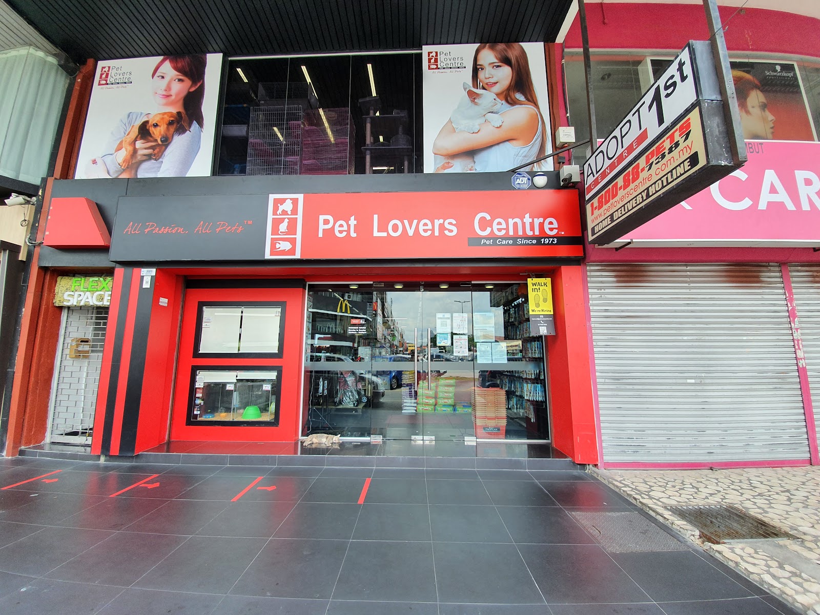 To & Do Pet Home 2